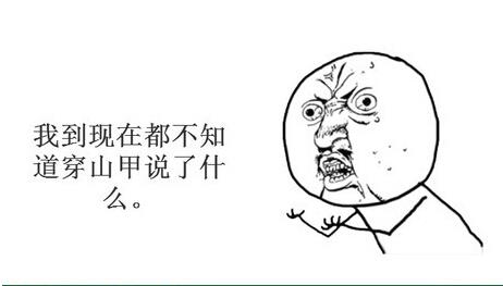 穿山甲到底说了什么（穿山甲到底说了什么梗）