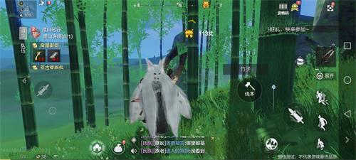 希望山海竹子在哪（希望山海竹子方位介绍）