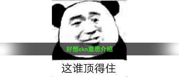 很想ckn代表什么意思（很想ckn含意详细介绍）