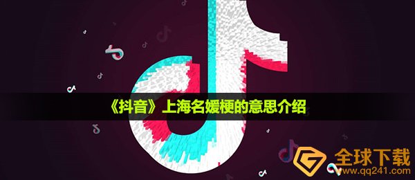 抖音短视频上海市名媛是什么含意,上海名媛梗的意思详细介绍