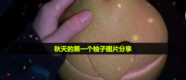 秋季的第一个柚子图片,秋季的第一个柚子图片共享