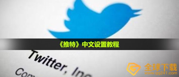 twiter如何设置汉语,汉语设定实例教程