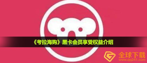 考拉海购启用伪卡有什么作用,伪卡vip会员享有利益详细介绍
