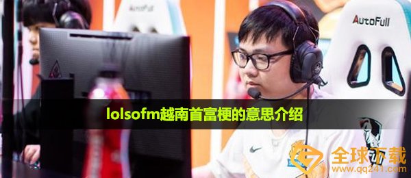 lolsofm越南首富啥意思,lolsofm越南首富梗的意思详细介绍
