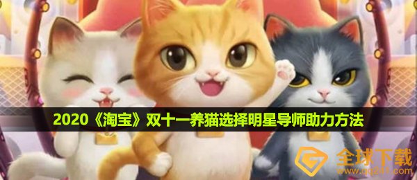 2021淘宝网养小猫如何选大牌明星老师,双十一养小猫挑选大牌明星老师助推方式