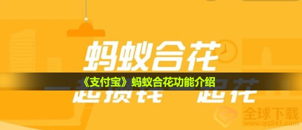 支付宝钱包小蚂蚁合花是啥,小蚂蚁合花功能介绍