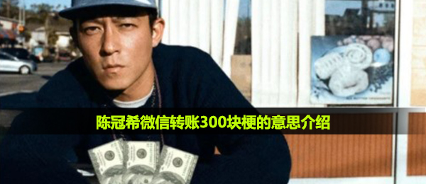 冠希哥300块是什么梗,冠希哥支付宝转账300块梗的意思详细介绍