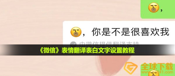 微信聊天表情汉语翻译是不是你很喜欢我如何设置,表情翻译表白文字设定实例教程