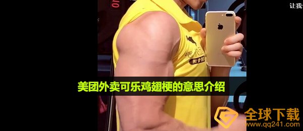 美团可乐鸡翅是什么梗,美团可乐鸡翅梗的意思详细介绍