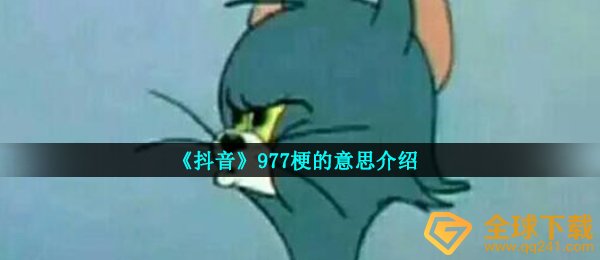 977是什么梗,977梗的意思详细介绍