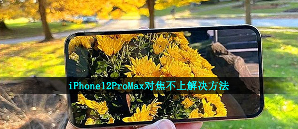 iPhone12ProMax调焦不上是什么原因,iPhone12ProMax调焦不上解决方案