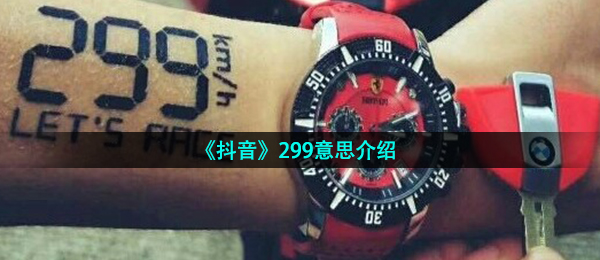 299代表什么意思,299含意详细介绍