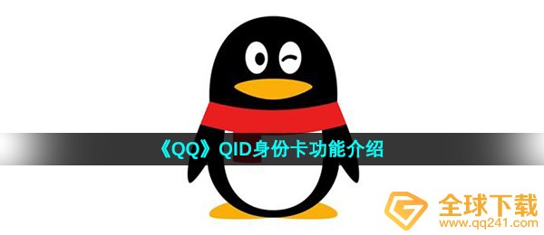 qqQID真实身份卡是啥,QID真实身份卡功能介绍