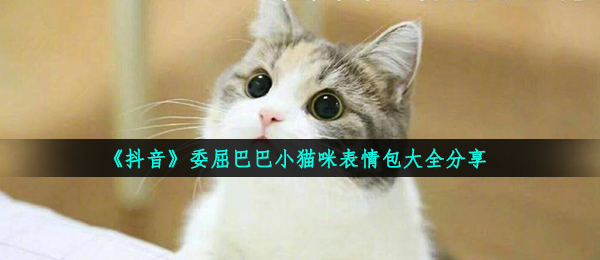 抖音短视频被吼后委屈巴巴的小猫咪表情包,委屈巴巴小猫猫表情包大全共享