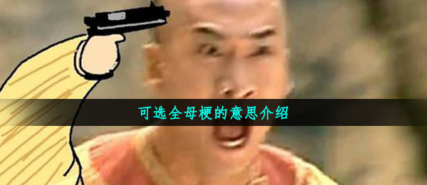 可选择全母是什么梗,可选择全母梗的意思详细介绍