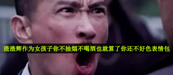 渣渣辉做为女生你不抽烟不喝酒也即使了你要不太好色表情包,渣渣辉做为女生你不抽烟不喝酒也即使了假如你还不好淫那么你活著也有什么意义表情图