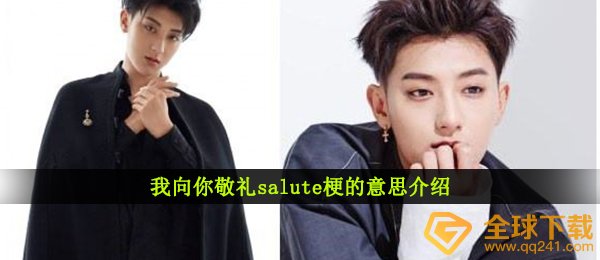 我向你行礼salute是什么梗,我向你行礼salute梗的意思详细介绍