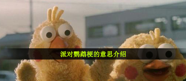 狂欢派对小鹦鹉是什么梗,狂欢派对小鹦鹉梗的意思详细介绍