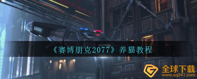 赛博朋克2077中怎样学好养小猫,养小猫实例教程