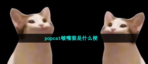 popcat啵嘴猫是什么梗（popcat啵嘴猫梗的意思详细介绍）