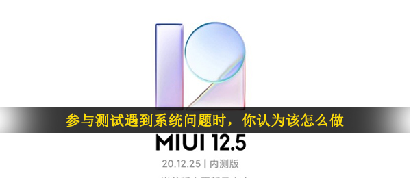 参加检测碰到系统软件难题时（你认为该怎么做）