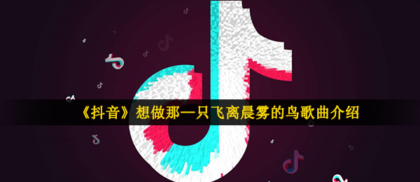 抖音短视频想要做那—只飞出山雾的鸟是什么歌（失眠症广播音乐信息内容详细介绍）