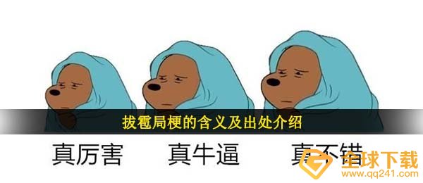 拔雹局啥意思（拔雹局梗的含意及出處详细介绍）