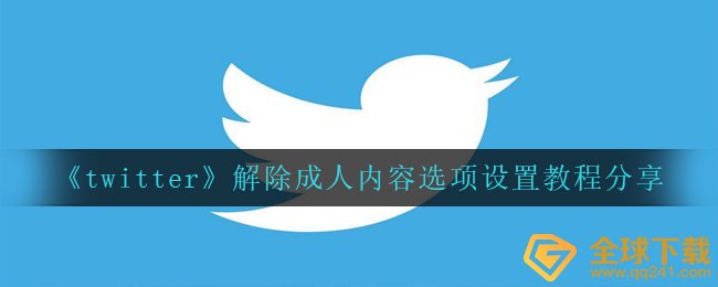 twitter如何解除成人内容选择项,消除成人内容选择项设定教程分享