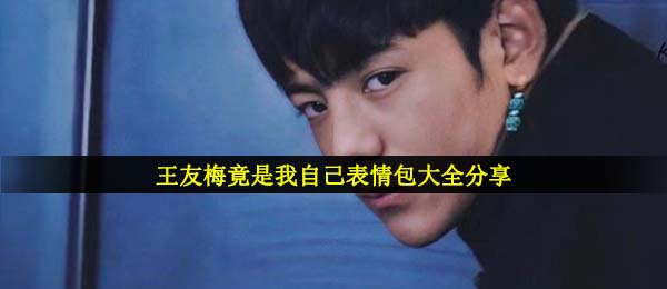 王友梅表情图,王友梅竟然自己表情包大全共享