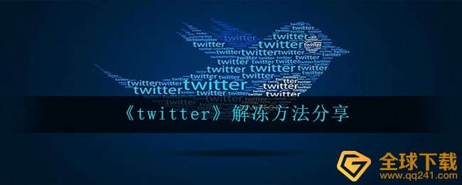 twitter怎么解冻账户,解冻方法共享