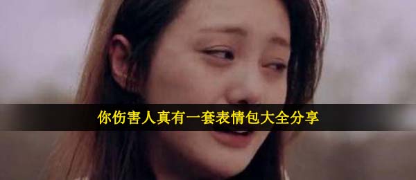 你损害人真有一套表情包,你损害人真有一套表情包大全共享