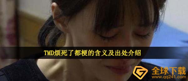 tmd好烦都是什么梗,TMD好烦都梗的含意及出處详细介绍