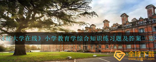 好大学在线小学教育学综合应用能力习题答案是什么,小学教育学综合应用能力习题及答案一览