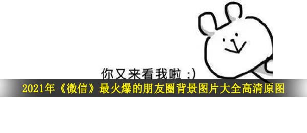 2021最红微信发朋友圈背景有什么,搞笑幽默无失庄重的微信发朋友圈情况图片共享