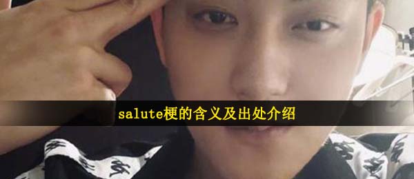 salute是什么含意,salute梗的含意及出處详细介绍