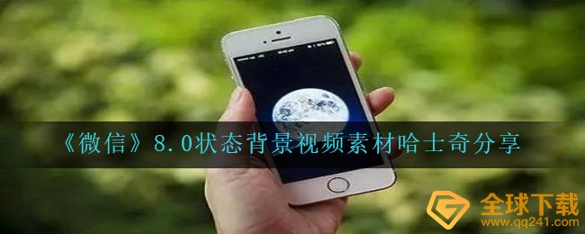微信8.0情况情况哈士奇视频免费下载,8.0情况情况视频素材金毛共享