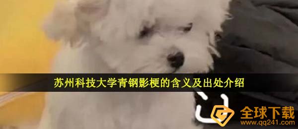 苏州科技高校青钢影什么鬼（苏州科技高校青钢影梗的含意及出處详细介绍）