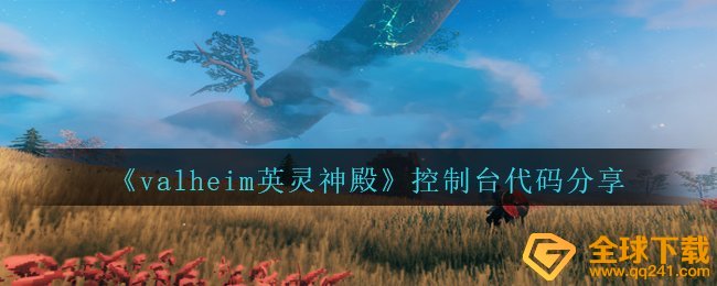 瓦尔海姆英灵神殿？（控制台代码共享有哪些控制台代码）