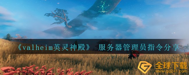 瓦尔海姆英灵神殿（的哪些服务器管理员命令由服务器管理员命令共享）