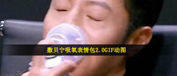 撒贝宁吸氧表情包2.0（撒贝宁吸氧表情包2.0GIF动画）