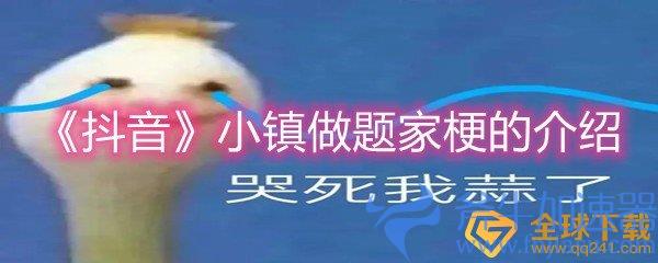 《抖音》小镇做题家梗的介绍