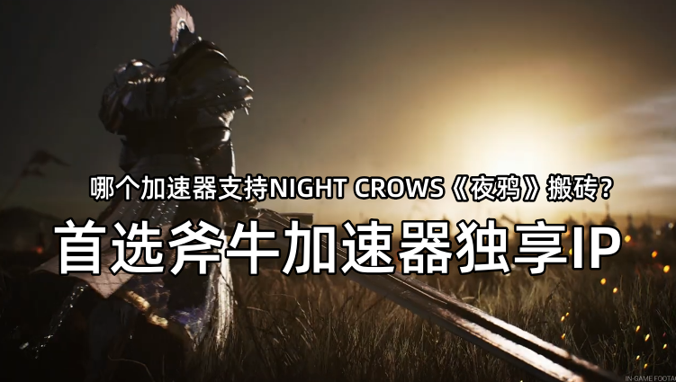 韩服NIGHT CROWS《夜鸦》怎么下载？哪个加速器支持游戏多开搬砖？