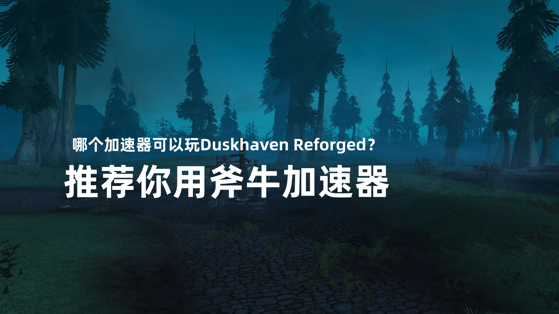 玩Duskhaven Reforged用斧牛加速器.png